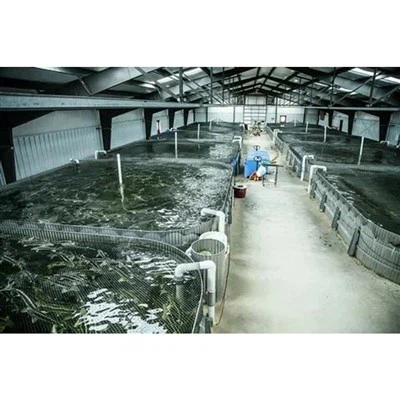 Clădirea fermei piscicole